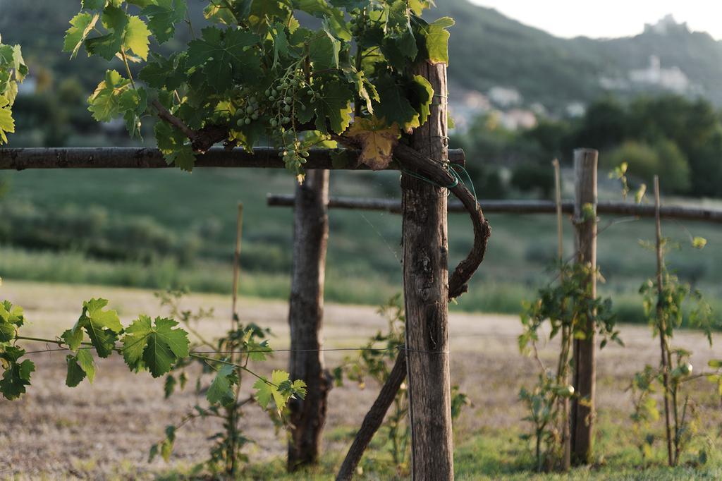 Relais Casale Valigi Villa Narni Kültér fotó